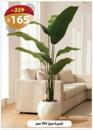 available at الهدايا سنتر in مملكة العربية السعودية, السعودية, سعودية - مكة المكرمة