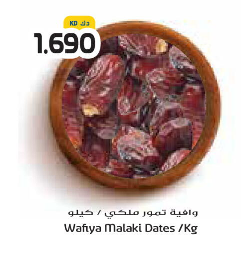 available at جراند كوستو in الكويت - محافظة الأحمدي