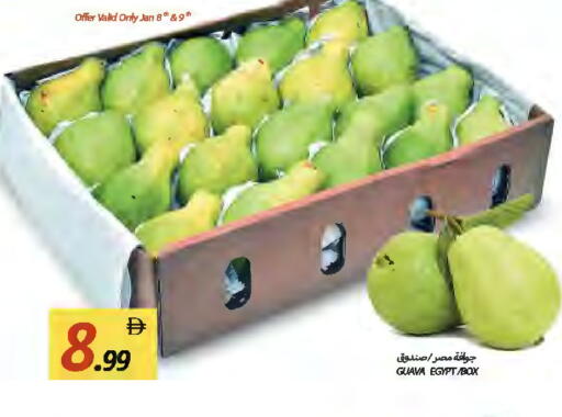 Guava from Egypt available at  روابي ماركت عجمان in الإمارات العربية المتحدة , الامارات - الشارقة / عجمان