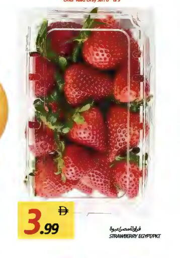 Strawberry from Egypt available at  روابي ماركت عجمان in الإمارات العربية المتحدة , الامارات - الشارقة / عجمان