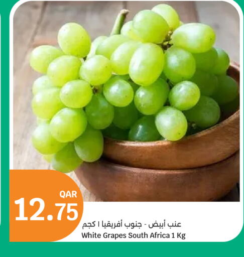 Grapes from South Africa available at City Hypermarket in Qatar - Al Shamal
