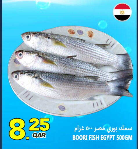 available at قصر الأغذية هايبرماركت in قطر - أم صلال