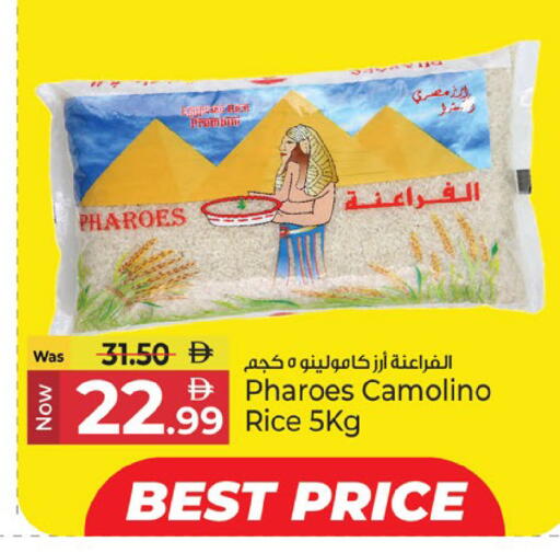 available at كنز هايبرماركت in الإمارات العربية المتحدة , الامارات - الشارقة / عجمان