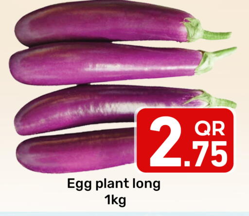 available at مجلس هايبرماركت in قطر - الريان