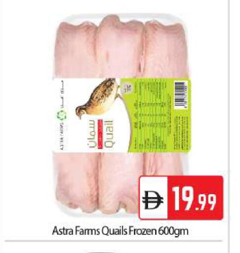 available at بيج مارت in الإمارات العربية المتحدة , الامارات - دبي