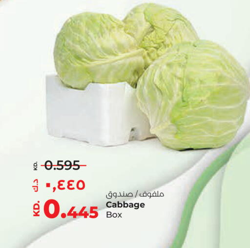 Cabbage available at Lulu Hypermarket  in Kuwait - Jahra Governorate