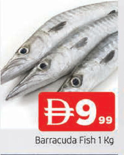 available at AL MADINA in UAE - Sharjah / Ajman