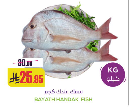 available at سبت in مملكة العربية السعودية, السعودية, سعودية - بريدة