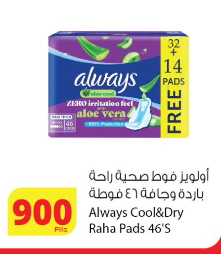 available at Agricultural Food Products Co. in Kuwait - Ahmadi Governorate