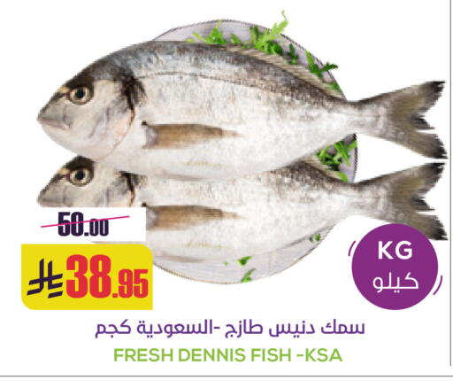 available at سبت in مملكة العربية السعودية, السعودية, سعودية - بريدة