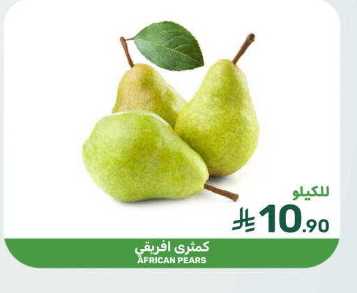 available at Mazaya in KSA, Saudi Arabia, Saudi - Qatif