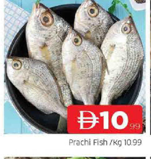 available at AL MADINA in UAE - Sharjah / Ajman