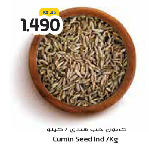 Cumin available at جراند كوستو in الكويت - محافظة الأحمدي