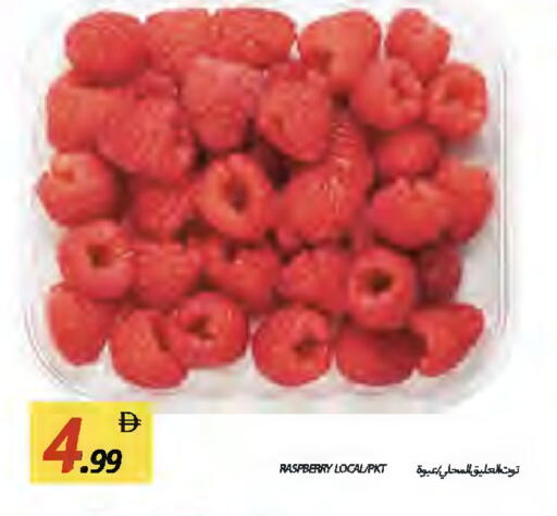 Raspberry available at  روابي ماركت عجمان in الإمارات العربية المتحدة , الامارات - الشارقة / عجمان