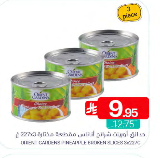 Pineapple available at Muntazah Markets in KSA, Saudi Arabia, Saudi - Qatif