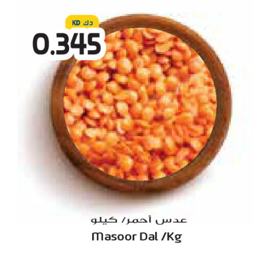 available at جراند كوستو in الكويت - محافظة الأحمدي