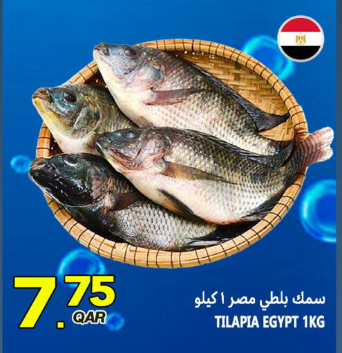 available at قصر الأغذية هايبرماركت in قطر - أم صلال