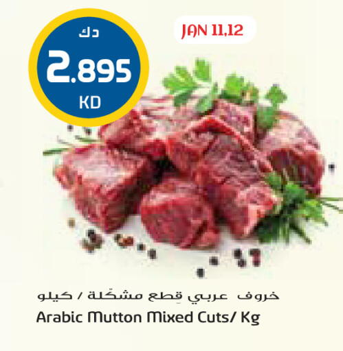 available at جراند كوستو in الكويت - محافظة الأحمدي