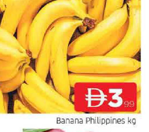 Banana from Philippines available at المدينة in الإمارات العربية المتحدة , الامارات - الشارقة / عجمان