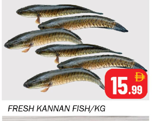 available at Souk Al Mubarak Hypermarket in UAE - Sharjah / Ajman