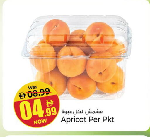 Apricot available at Kenz Hypermarket in UAE - Sharjah / Ajman