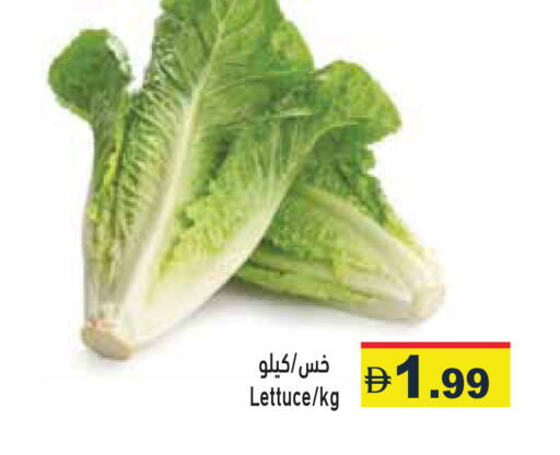 Lettuce available at أسواق رامز in الإمارات العربية المتحدة , الامارات - رَأْس ٱلْخَيْمَة