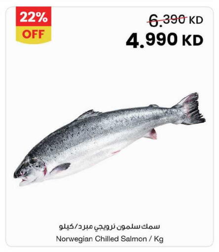 available at مركز سلطان in الكويت - محافظة الأحمدي