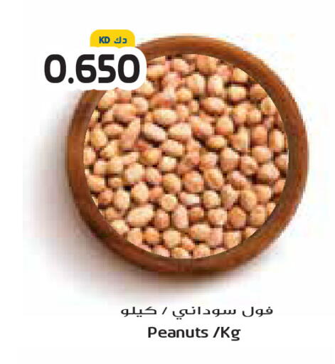 available at جراند كوستو in الكويت - محافظة الأحمدي