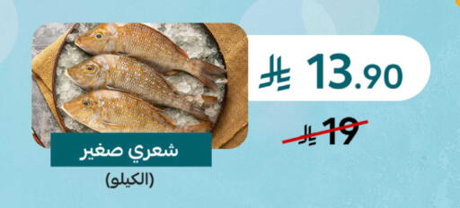 available at Mazaya in KSA, Saudi Arabia, Saudi - Dammam