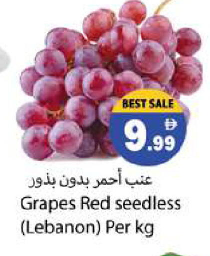 Grapes from Lebanon available at Gulf Hypermarket LLC in UAE - Ras al Khaimah