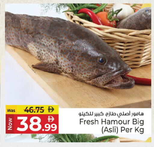 available at كنز هايبرماركت in الإمارات العربية المتحدة , الامارات - الشارقة / عجمان