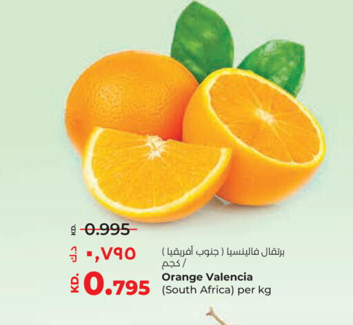 Orange from South Africa available at Lulu Hypermarket  in Kuwait - Kuwait City