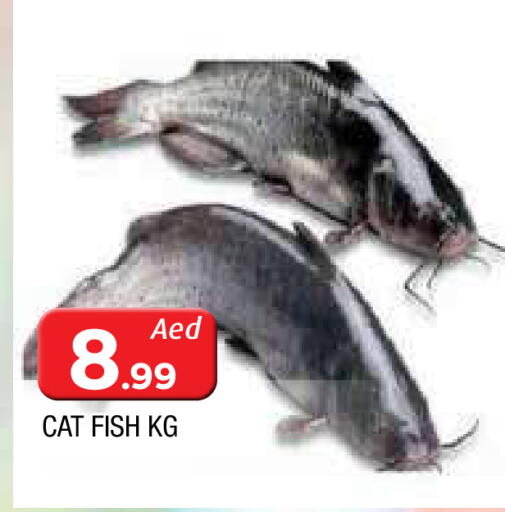 available at AL MADINA in UAE - Sharjah / Ajman