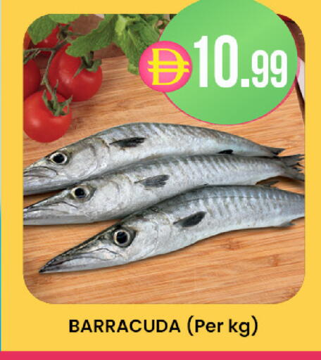 available at ك. إم. هايبرماركت in الإمارات العربية المتحدة , الامارات - ٱلْعَيْن‎