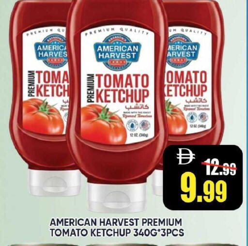 Tomato available at ليبتس هايبرماركت in الإمارات العربية المتحدة , الامارات - رَأْس ٱلْخَيْمَة