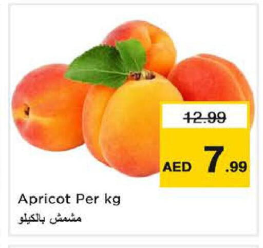 Apricot available at نستو هايبرماركت in الإمارات العربية المتحدة , الامارات - الشارقة / عجمان