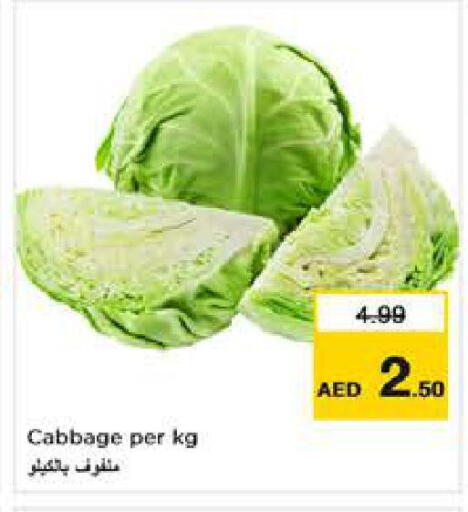 Cabbage available at لاست تشانس in الإمارات العربية المتحدة , الامارات - ٱلْفُجَيْرَة‎