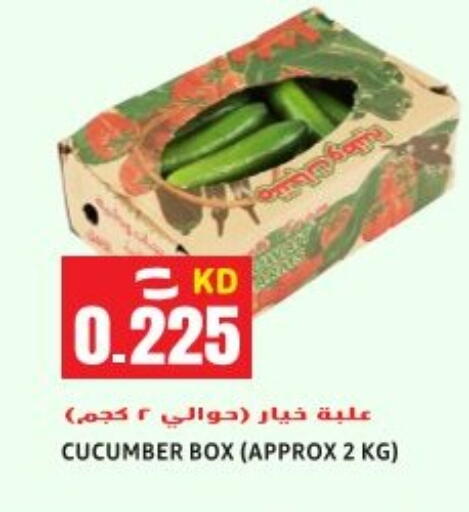 Cucumber available at Sabsah Hypermarket in Kuwait - Ahmadi Governorate