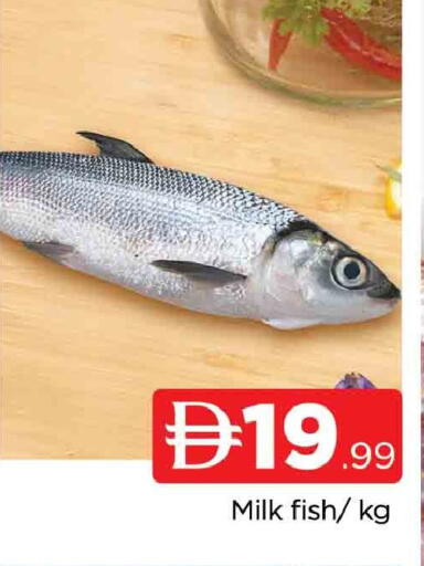 available at AL MADINA in UAE - Sharjah / Ajman