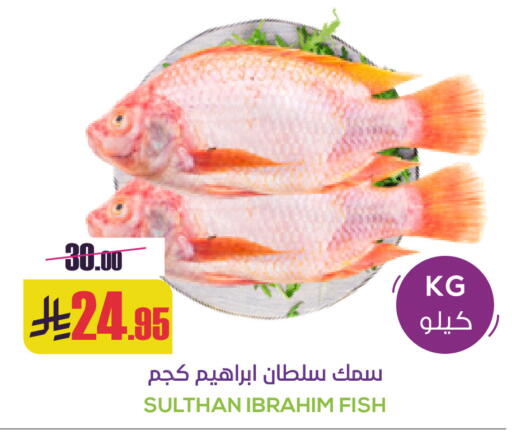 available at سبت in مملكة العربية السعودية, السعودية, سعودية - بريدة