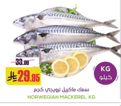 available at سبت in مملكة العربية السعودية, السعودية, سعودية - بريدة