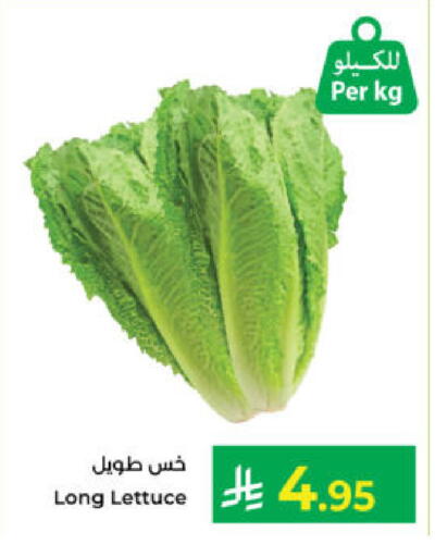 Lettuce available at كبايان هايبرماركت in مملكة العربية السعودية, السعودية, سعودية - ينبع