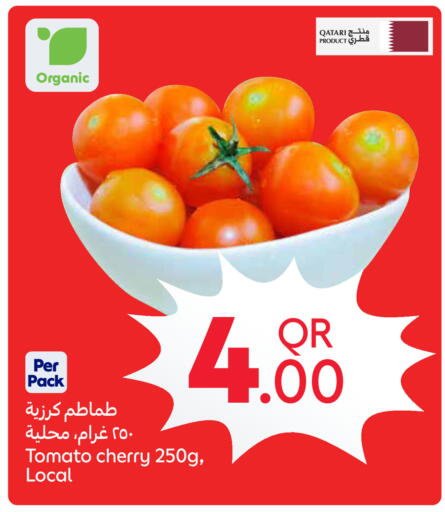 Cherry Tomato from Qatar available at كارفور in قطر - الدوحة