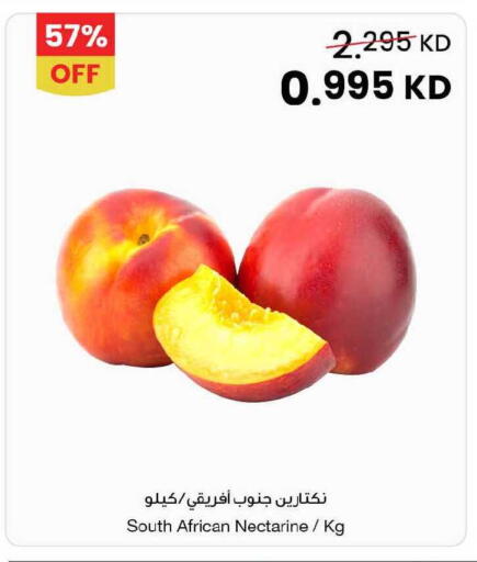 Nectarine from South Africa available at The Sultan Center in Kuwait - Jahra Governorate