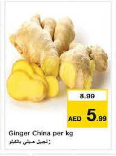 Ginger from China available at نستو هايبرماركت in الإمارات العربية المتحدة , الامارات - دبي
