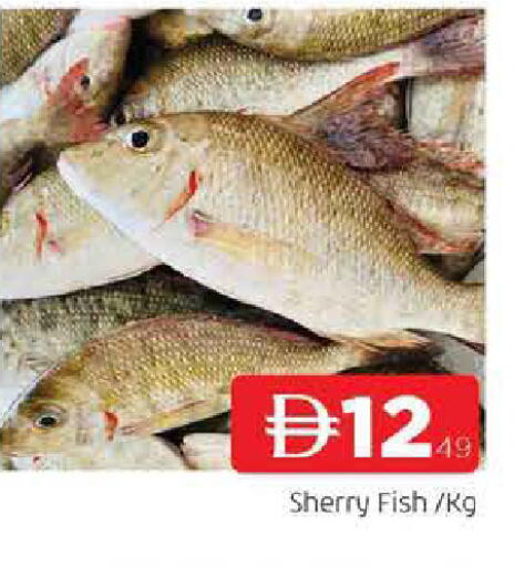 available at AL MADINA in UAE - Sharjah / Ajman