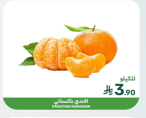 Mandarin from Pakistan available at Mazaya in KSA, Saudi Arabia, Saudi - Qatif