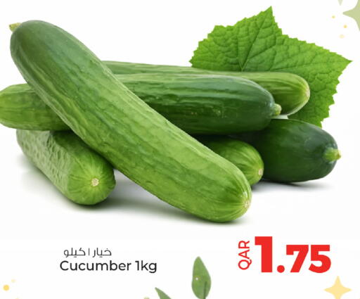 Cucumber available at أنصار جاليري in قطر - أم صلال