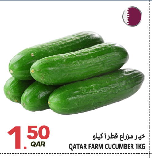 Cucumber from Qatar available at Food Palace Hypermarket in Qatar - Doha