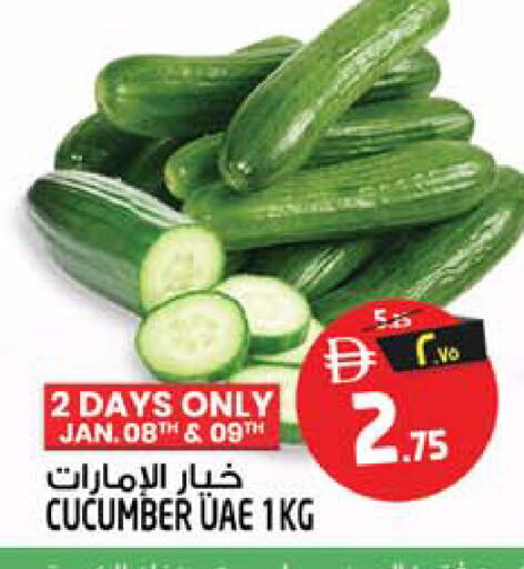Cucumber available at SAFARI HYPERMARKET  in UAE - Ras al Khaimah